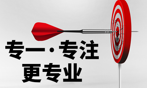 专注，专业